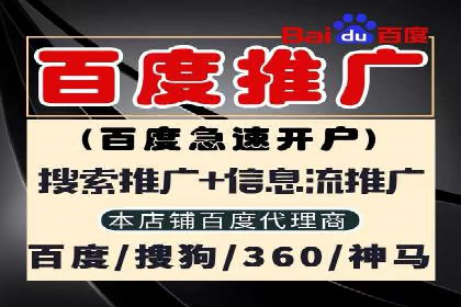 行业领先企业的SEM运营策略案例解析